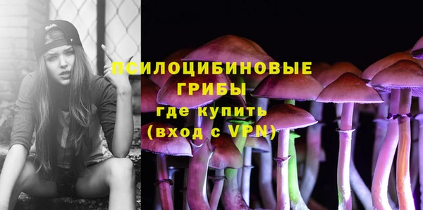 PSILOCYBIN Белоозёрский