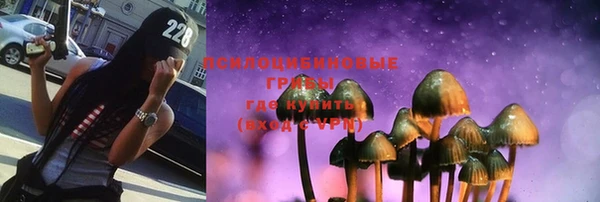 PSILOCYBIN Белоозёрский